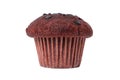 Chocolate chip muffin cake isolated on white Royalty Free Stock Photo