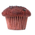 Chocolate chip muffin cake isolated on white closeup Royalty Free Stock Photo