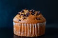Chocolate chip muffin cup cake closeup isolated on black background. Royalty Free Stock Photo
