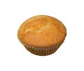 Chocolate chip muffin cup cake closeup isolated Royalty Free Stock Photo