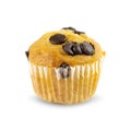 Chocolate chip muffin cup cake closeup isolated on white background. with clipping paths Royalty Free Stock Photo