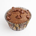 Chocolate chip muffin cupcake
