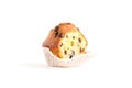 Chocolate chip muffin isolated on white Royalty Free Stock Photo