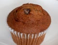 Chocolate Chip Muffin