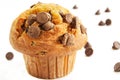 Chocolate chip muffin on white background