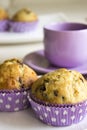 Chocolate Chip Muffins Royalty Free Stock Photo