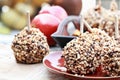 Chocolate Chip and Nut Covered Carmel Apples Royalty Free Stock Photo