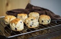 Chocolate chip scones on the cooling rack on a wooden background Royalty Free Stock Photo