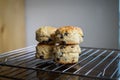 Chocolate chip scones on the cooling rack on a wooden background Royalty Free Stock Photo