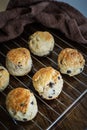 Chocolate chip scones on the cooling rack on a wooden background. - Top view Royalty Free Stock Photo