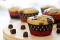 Chocolate chips banana cupcake or muffin Royalty Free Stock Photo