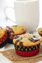 Chocolate chips banana cupcake or muffin Royalty Free Stock Photo