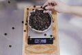 Chocolate chips in a bowl on an industrial kitchen scale to make chocolate desserts Royalty Free Stock Photo