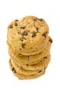 Chocolate chips cookies Royalty Free Stock Photo