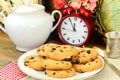 Chocolate Christmas Cookies on White Plate Royalty Free Stock Photo