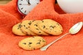 Chocolate Christmas Cookies on White Plate Royalty Free Stock Photo