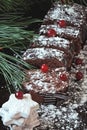 Chocolate Christmas log in powdered sugar with cranberries. Christmas tree branches