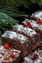 Chocolate Christmas log in powdered sugar with cranberries. Christmas tree branches