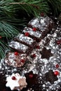 Chocolate Christmas log in powdered sugar with cranberries. Christmas tree branches