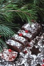 Chocolate Christmas log in powdered sugar with cranberries. Christmas tree branches