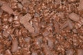 Chocolate Coated Gummy Bear Candy