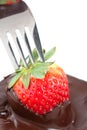 Chocolate Coating Strawberries Royalty Free Stock Photo