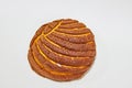 Chocolate cocoa brown concha a Mexican sweet bread on a white background Royalty Free Stock Photo