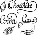 Chocolate, cocoa, cacao text