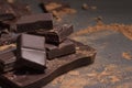 Chocolate with cocoa close up powder on grey background Royalty Free Stock Photo