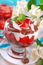 Chocolate and coconut dessert with strawberries