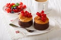 Chocolate coconut muffins, berries and coffee with milk close-up Royalty Free Stock Photo