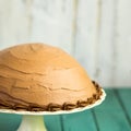 Chocolate Coffee Hazelnut Half Sphere Cake With Decorative Piping