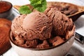 Chocolate coffee ice cream ball in a bowl. ice cream scoop Royalty Free Stock Photo