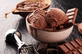 Chocolate coffee ice cream ball in a bowl. ice cream scoop Royalty Free Stock Photo