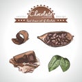 Chocolate Collection of cacao products with leaf. Vector illustration. Isolated Royalty Free Stock Photo