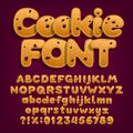 Chocolate cookie alphabet font. Uppercase and lowercase dessert letters.