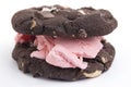 Chocolate cookie ice cream sandwich Royalty Free Stock Photo