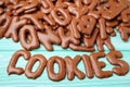 Chocolate cookies alphabet