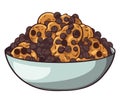 chocolate cookies bowl Royalty Free Stock Photo