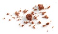 Chocolate cookies crumbs Royalty Free Stock Photo