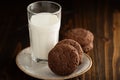 Chocolate cookies with a glass of milk Royalty Free Stock Photo