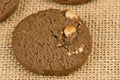 Chocolate cookies, Homemade crispy cookies. Royalty Free Stock Photo