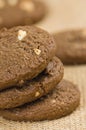 Chocolate cookies, Homemade crispy cookies. Royalty Free Stock Photo