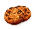 Chocolate cookies illustration