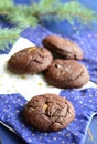 Chocolate cookies with peanut butter Royalty Free Stock Photo