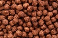 Chocolate corn balls close-up.