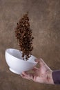 Chocolate corn flakes falling to the white bowl on brown background. Levitation. Royalty Free Stock Photo