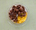 Chocolate cornflakes and Corn flakes with milk Royalty Free Stock Photo