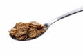 Chocolate cornflakes on a spoon isolated in white Royalty Free Stock Photo