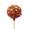 Chocolate-Covered Apple on a Stick with Star-Shaped Sprinkles and Red Candy Royalty Free Stock Photo